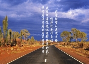 开云官方app入口-西决生死战之夜，奥利维耶关键回合不手软