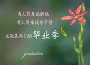 开云平台-切特爆发改写比赛剧本，凯尔特人淘汰赛惊险过关步行者