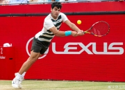 开云体育官方网站-包含日本网球队逆转西班牙网球队，阿尔卡拉斯制霸全场的词条