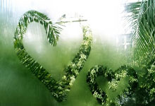 开云体育下载-节奏大师卡马文加，意甲焦点夜的隐形引擎