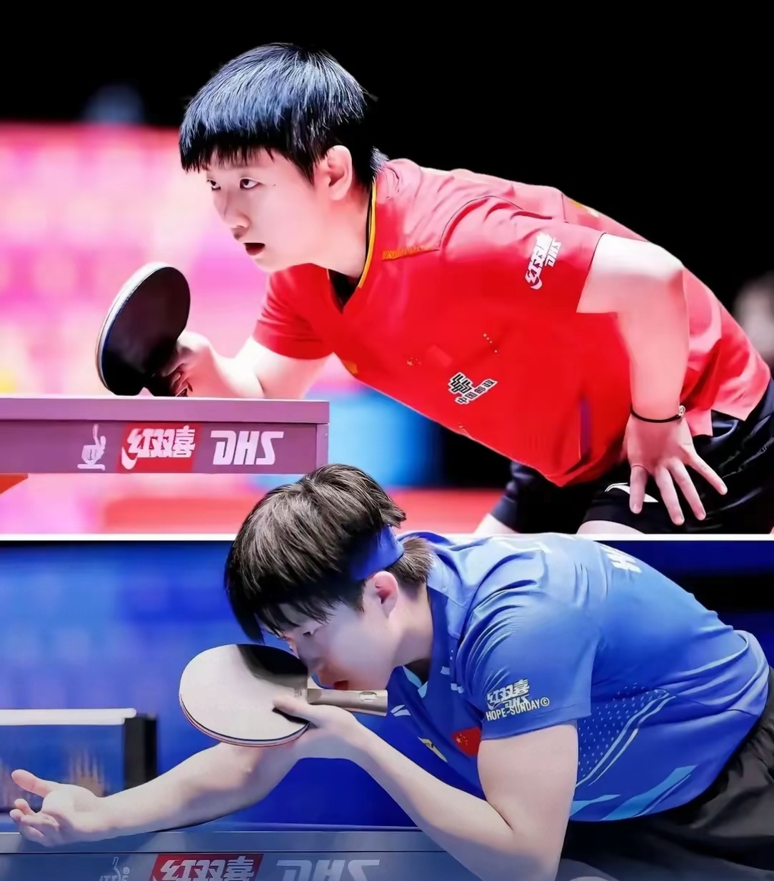 比利时乒乓球队绝杀韩国乒乓球队，张继科绝境逆转的简单介绍