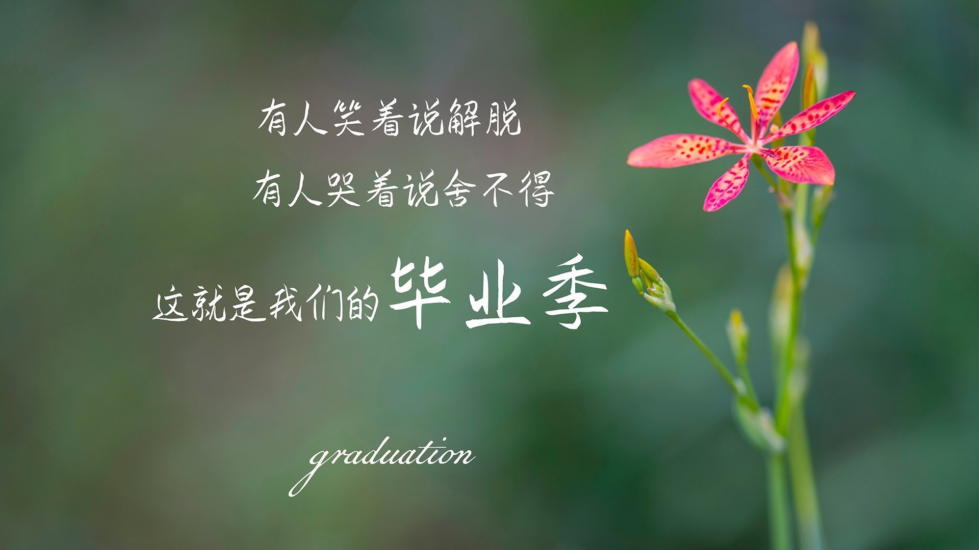 切特爆发改写比赛剧本,凯尔特人淘汰赛惊险过关步行者