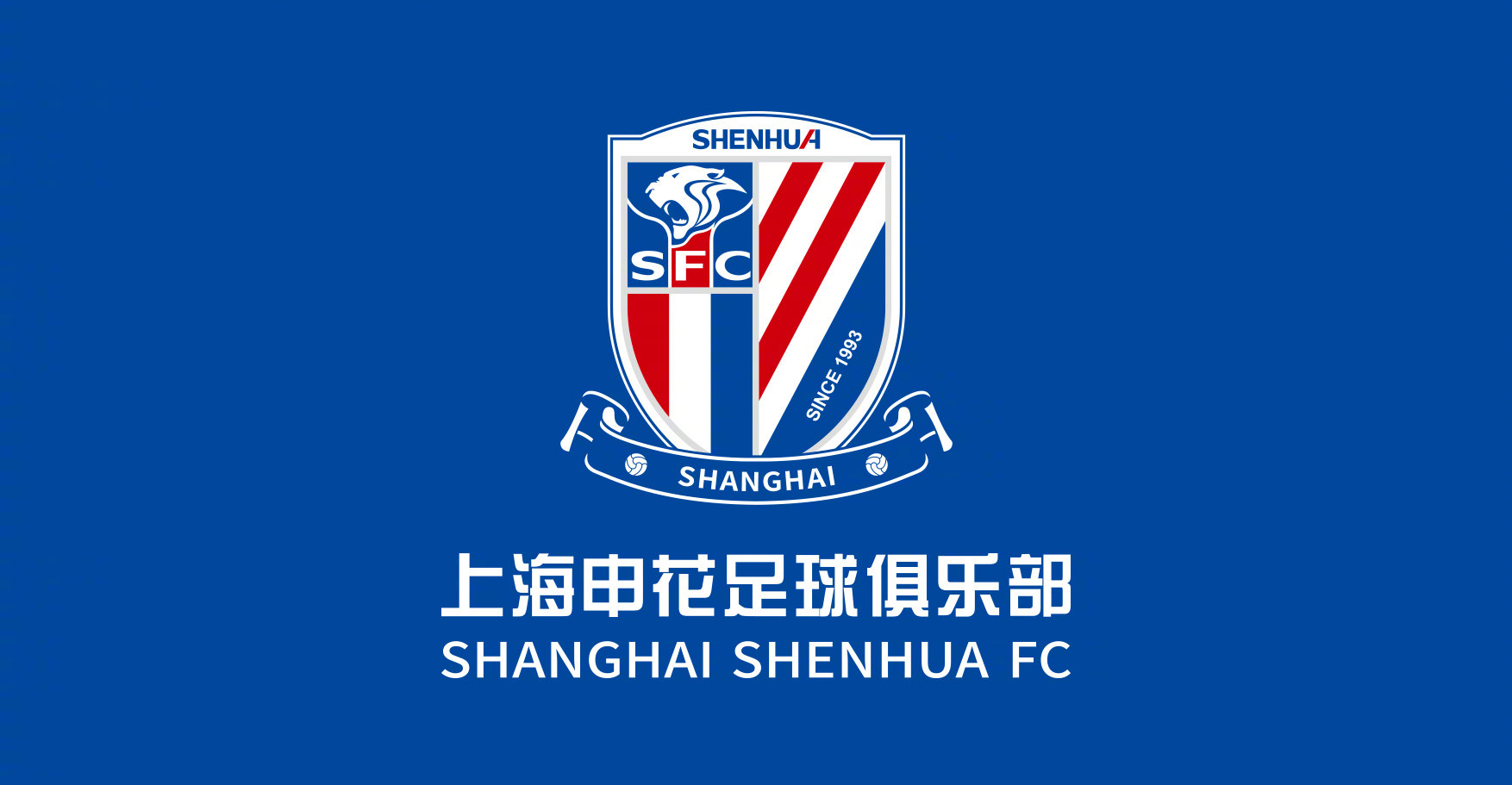 申花连胜后备战计划曝光，意在争夺冠军的简单介绍